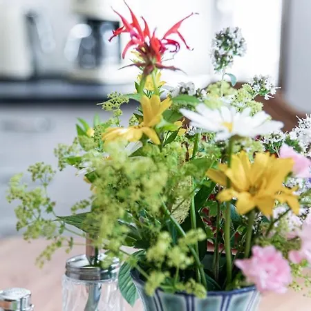 Zum Huelsenbusch Апартаменты *